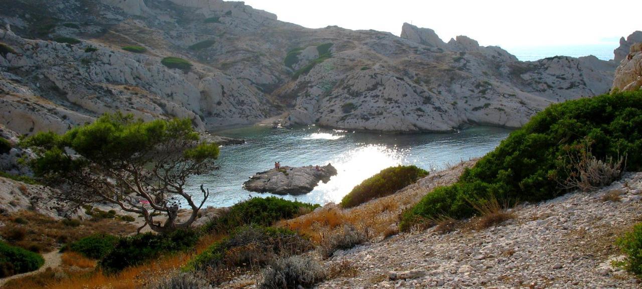 Les Pieds Dans L'Eau Sur L'Ile Du Frioul Apartment Marseille Ngoại thất bức ảnh